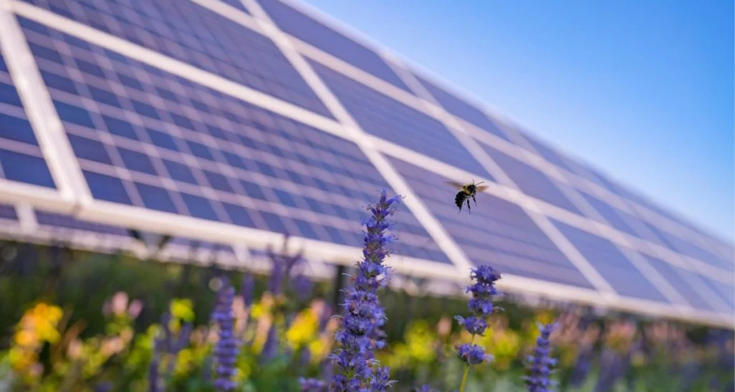 Das italienische Unternehmen Whysol sichert sich die Finanzierung für ein 328-MW-AgriPV- und Energiespeicherportfolio.