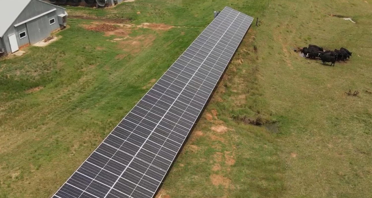 Riesige Photovoltaikmodule in Gefahr!